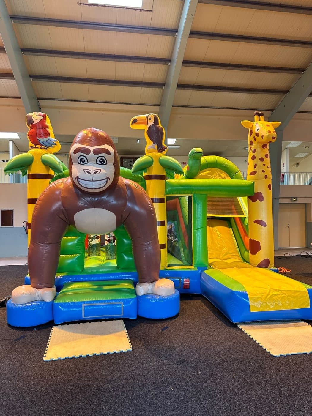 Combo gonflable jungle avec gorille, girafe et toboggan.